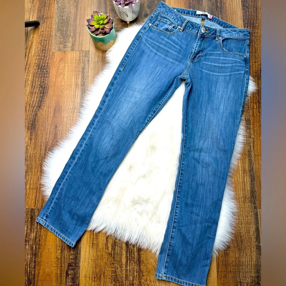 CAbi 5166 The Striaght Bluelight Denim